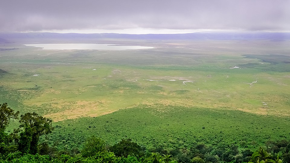 Serengeti and Ngorongoro Safari