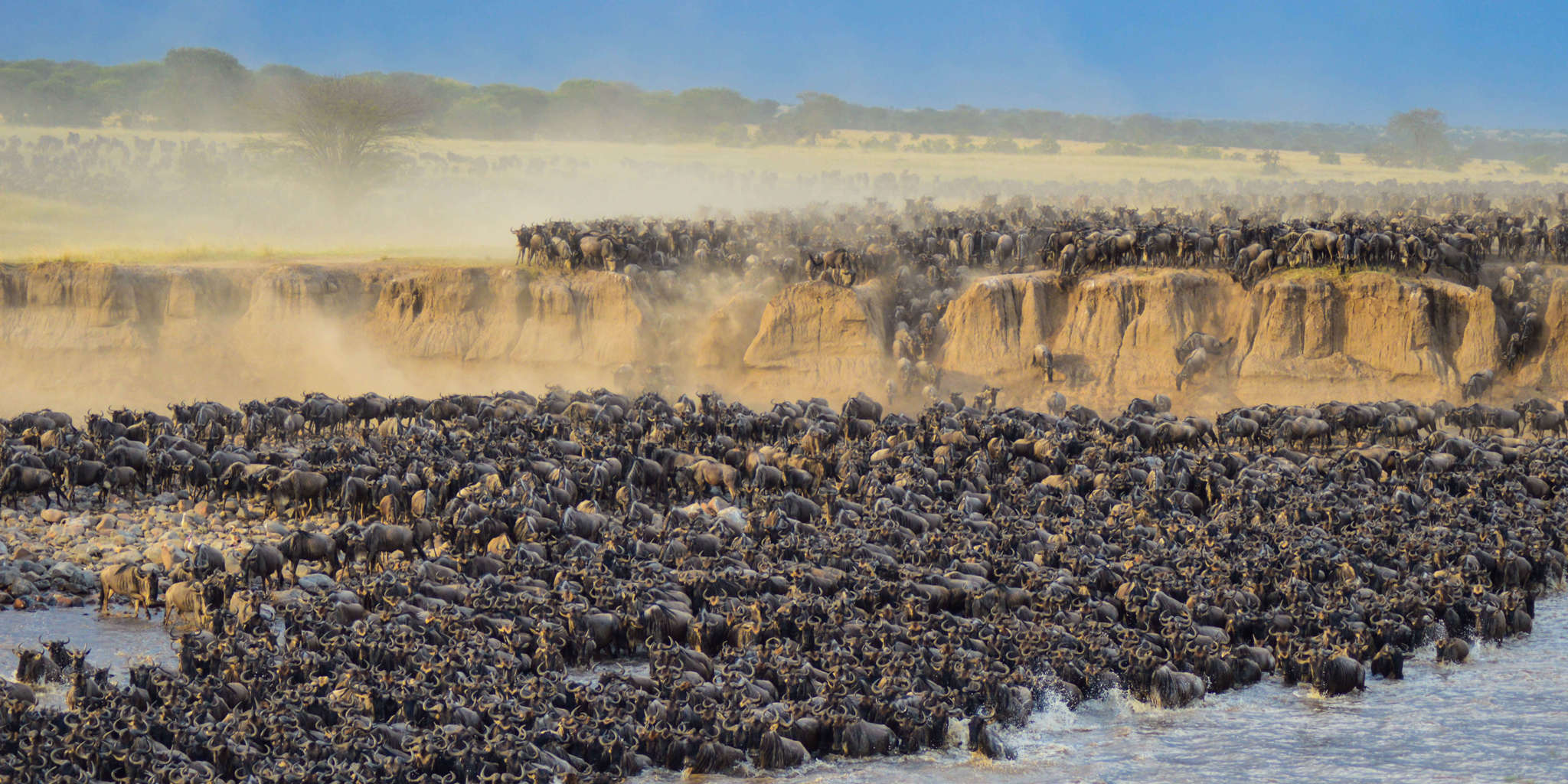 Serengeti and Ngorongoro Safari