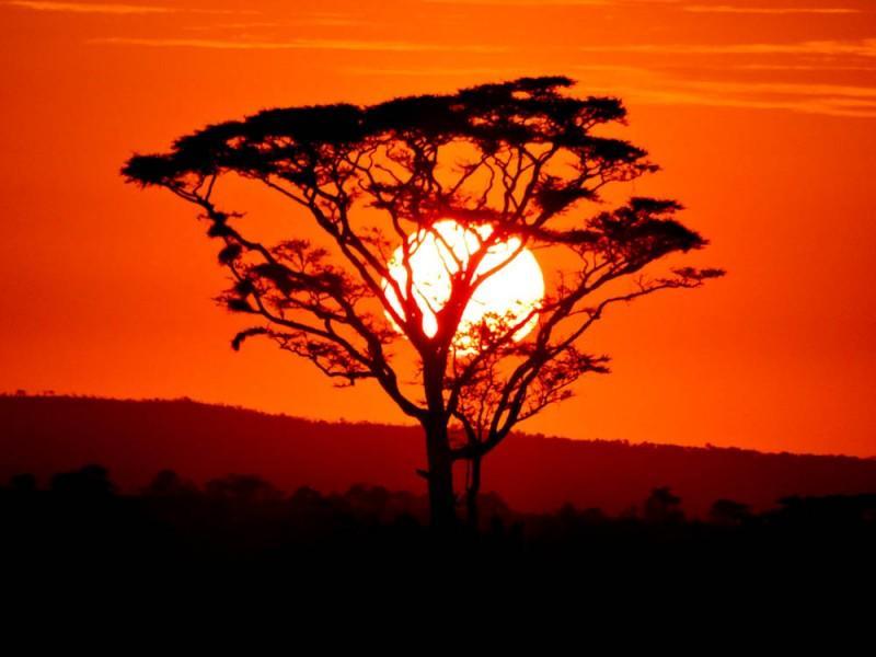 Serengeti and Ngorongoro Safari