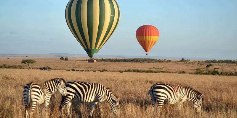 Serengeti and Ngorongoro Safari