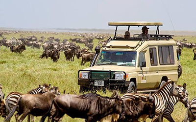 Unforgettable Tanzania Safaris