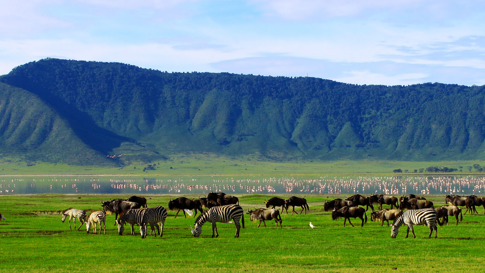 5-Day Tanzania Safari Cost