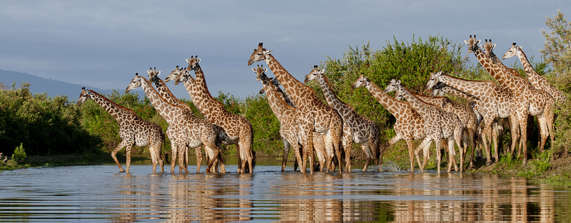 5-Day Tanzania Safari Itinerary